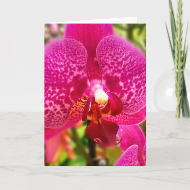 Carte de voeux de blanc d'orchidée de Phalenopsis (Devant)
