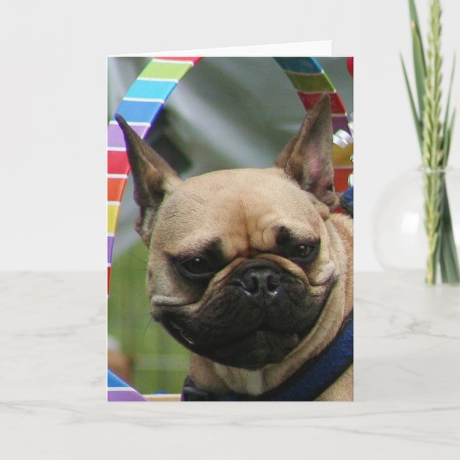 Carte de voeux de bouledogue français (Devant)