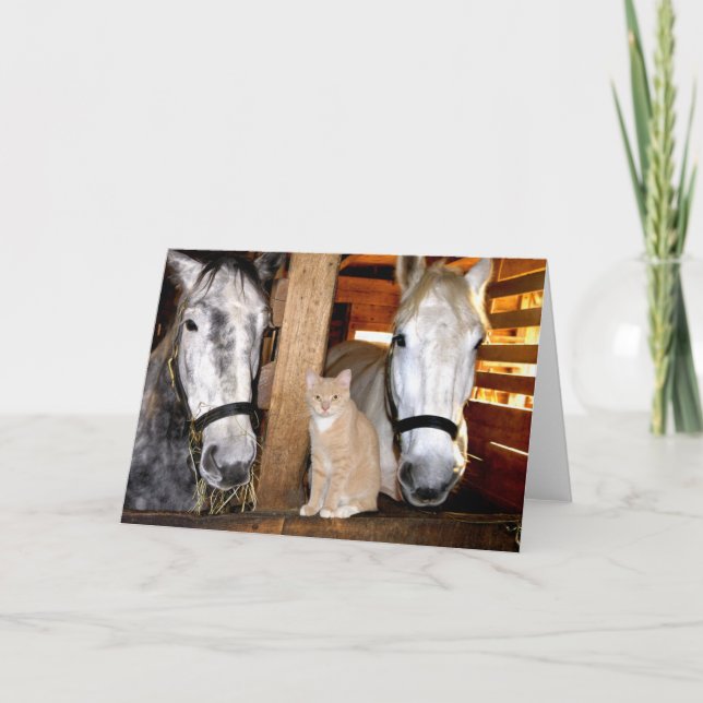 Carte de voeux "de bourgeons stables" (Devant)