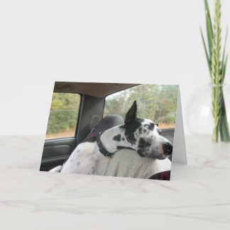 Carte de voeux de bouteur