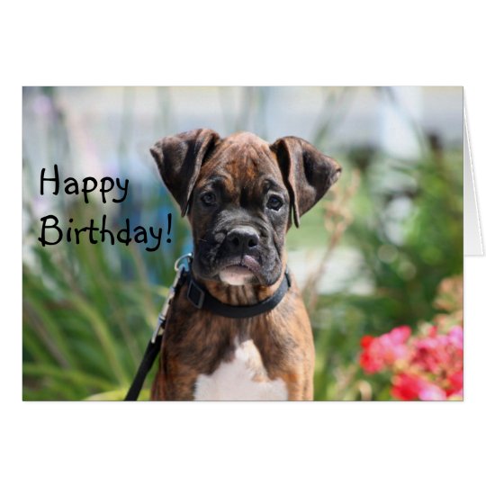 Carte de voeux de boxeur de joyeux anniversaire | Zazzle.fr