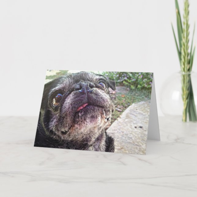 Carte de voeux de Bumblesnot : Recherche (Devant)