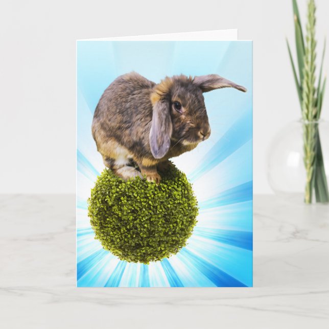 Carte de voeux de BunnyLuv comportant Twink (Devant)