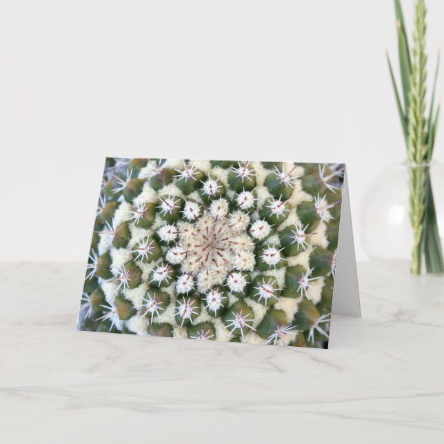Carte de voeux de Cactus par Debra Lee Baldwin (Devant)