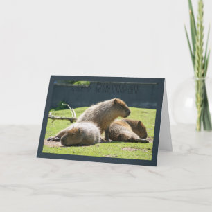 Carte de voeux de Capybara - anniversaire de Capy