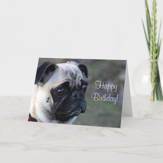  Carte  de voeux de carlin  de joyeux anniversaire  Zazzle fr