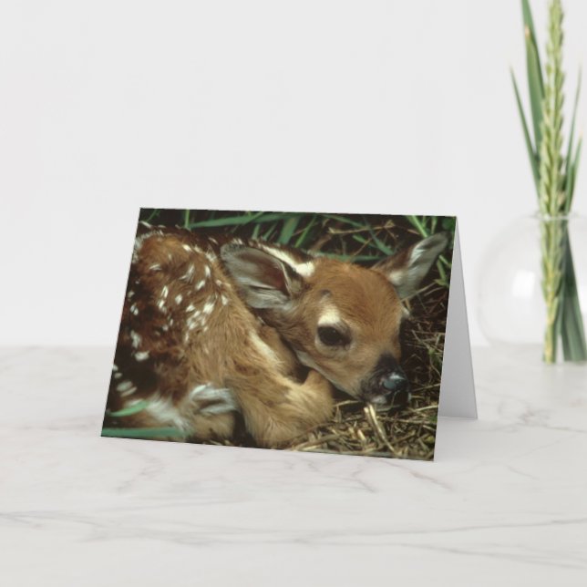Carte de voeux de cerfs communs de bébé (Devant)