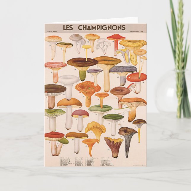 Carte de voeux de champignon (Devant)