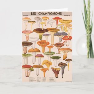 Carte de voeux de champignon