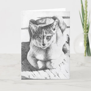 Carte de voeux de chat