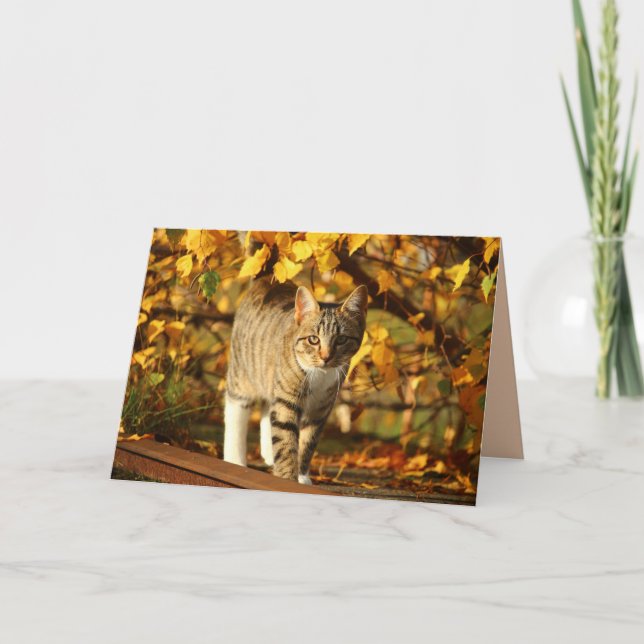 carte de voeux de chat d'automne (Devant)