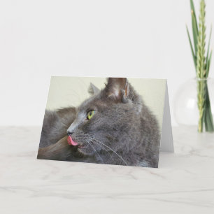 Carte de voeux de chat gris