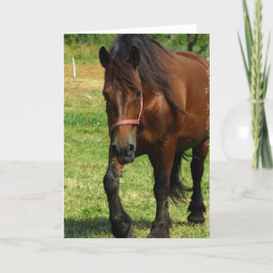 Carte de voeux de cheval de trait
