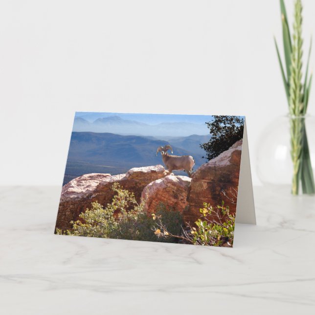 Carte de voeux de chèvre de montagne (Devant)