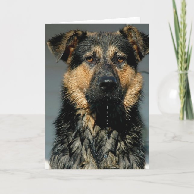 Carte de voeux de chien berger allemand (Devant)