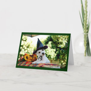 Carte de voeux de chien Bon thanksgiving mignonne