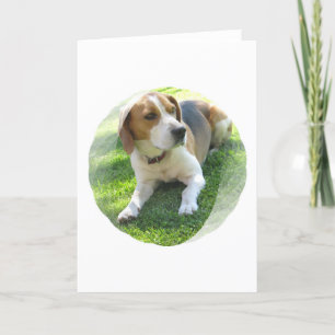 Carte de voeux de chien de chasse de beagle