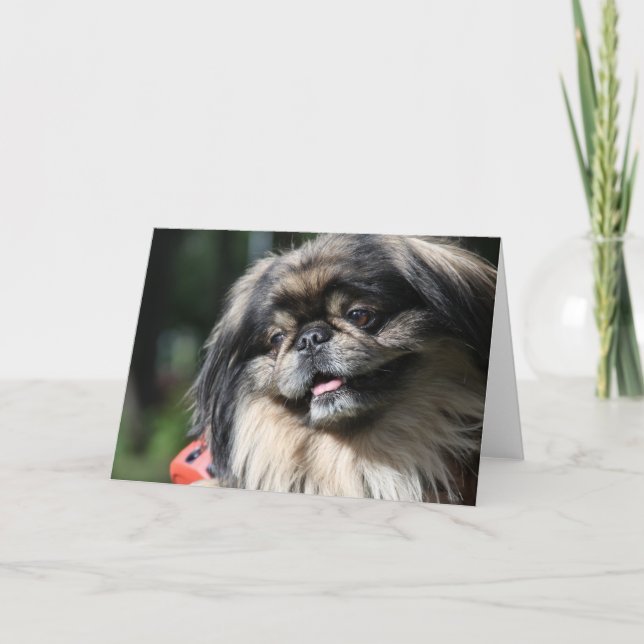 Carte de voeux de chien de Pekingese (Devant)