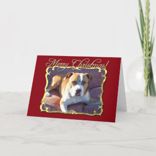 Carte de voeux de chien de pitbull de Joyeux Noël