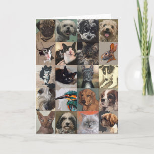 Carte de voeux de chien et de chat