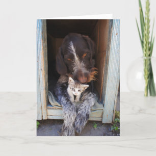 Carte de voeux de chien et de chaton de merci