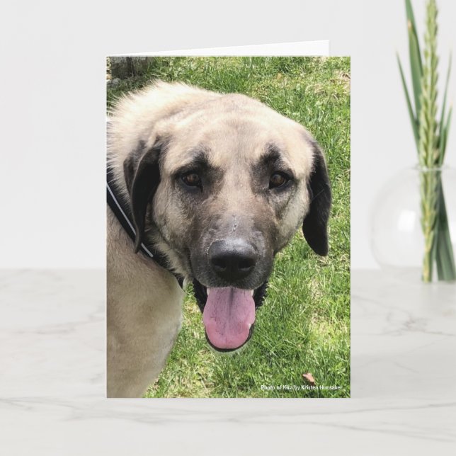 Carte de voeux de chien Kangal (Devant)
