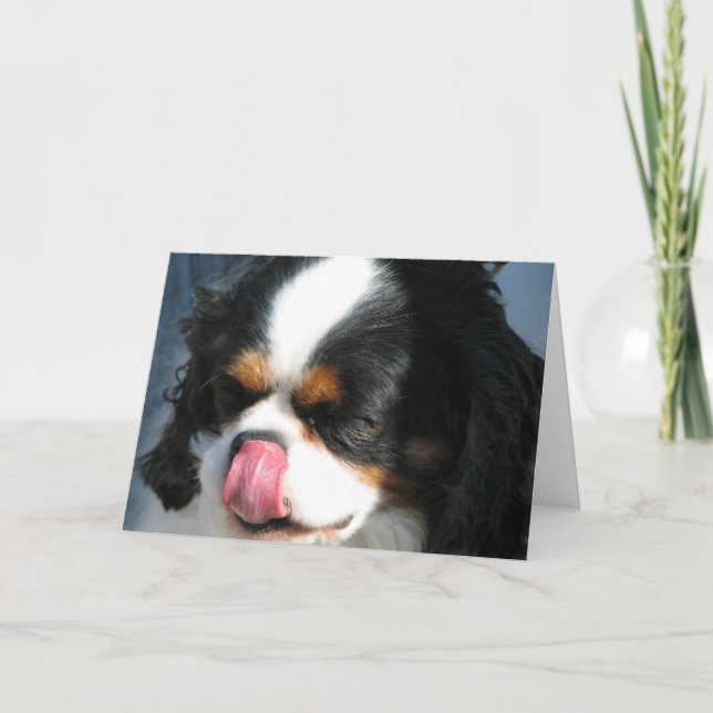 Carte de voeux de chien Spanial Cavalier mignonne (Devant)