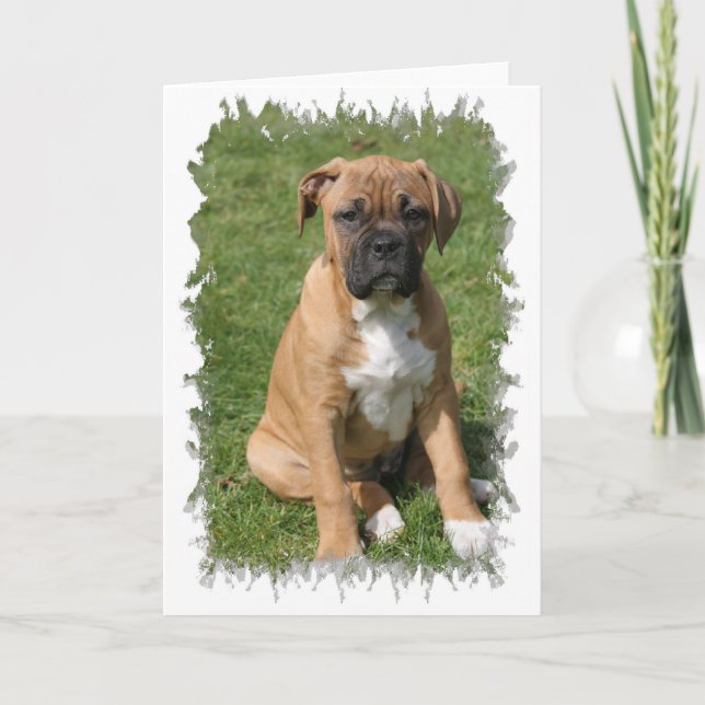 Carte de voeux de chiot de boxeur (Devant)