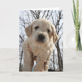 Carte de voeux de chiot de Goldendoodle