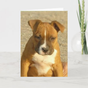 Carte de voeux de chiot de Pitbull