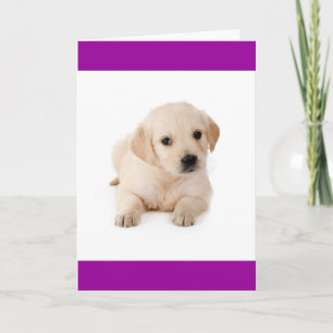 Carte de vœux de chiot Retriever doré Bonjour