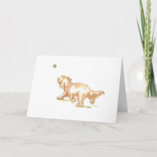 Carte de voeux de "Cockapoo" pour toute occasion