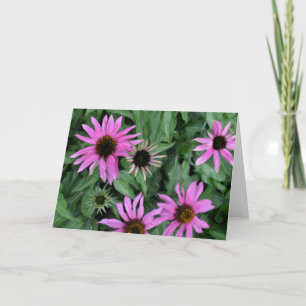 Carte de voeux de Coneflowers