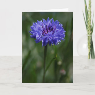 Carte de voeux de Cornflower violet