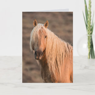 Carte de voeux de Corona Dawn Portrait Wild Horse