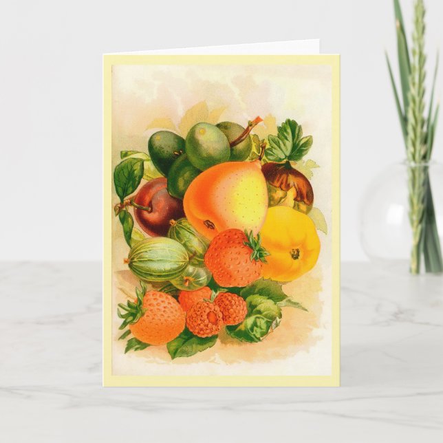 Carte de voeux de couverture du catalogue des seme (Devant)