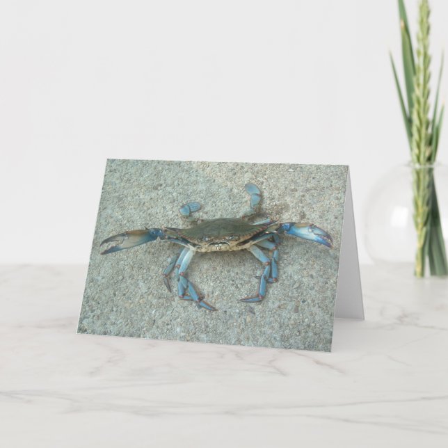 Carte de voeux de crabe bleu du Maryland (Devant)