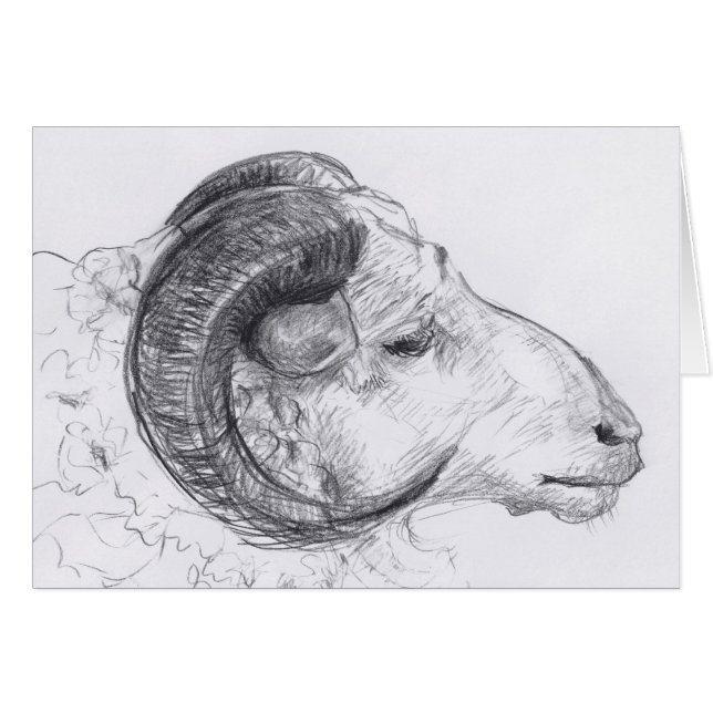 Carte de voeux de dessin original de Ram Head (Devant horizontal)