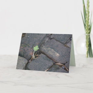 carte de voeux de "détermination"