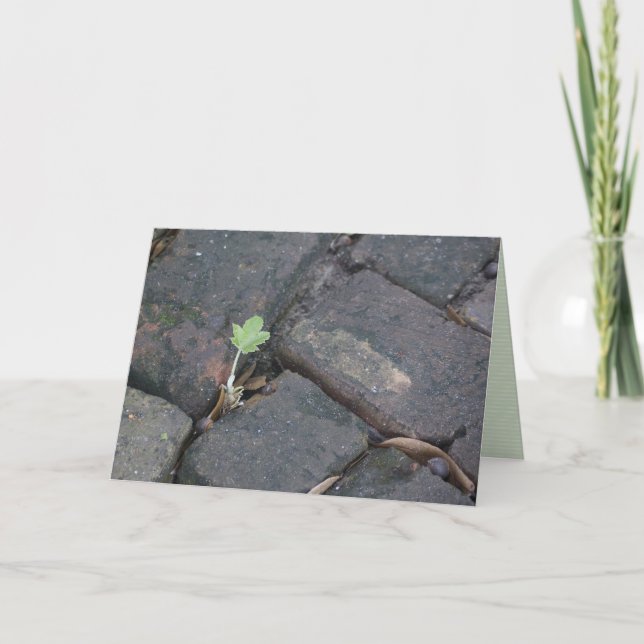 carte de voeux de "détermination" (Devant)