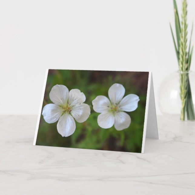 Carte de voeux de deux fleurs blanches (Devant)