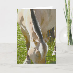 Carte de voeux de fjord