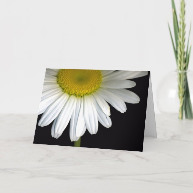 Carte de voeux de fleur de marguerite (Devant)