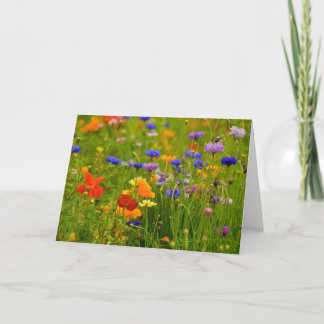 Carte de voeux de fleur sauvage