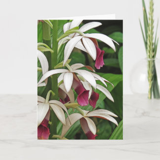 Carte de voeux de fleurs de l'orchidée de la nonne