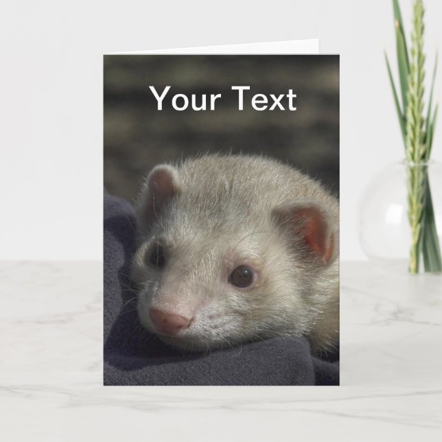 Carte de voeux de furet (Devant)
