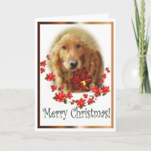 Carte de voeux de golden retriever de Noël