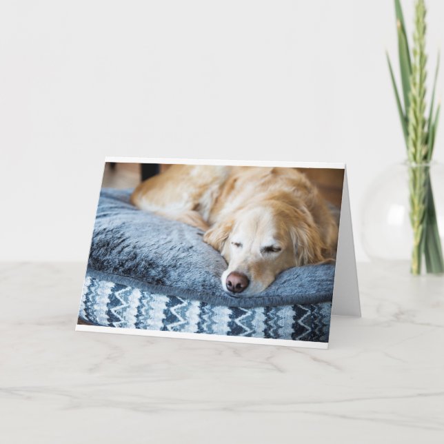 Carte de voeux de golden retriever de sommeil (Devant)