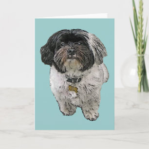 Carte de voeux de Havanese