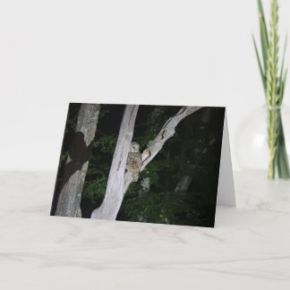 Carte de voeux de hibou barré, intérieur vide